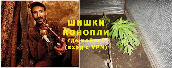 прущие грибы Бронницы