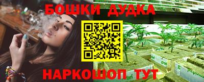 ГАЛЛЮЦИНОГЕННЫЕ ГРИБЫ Беслан