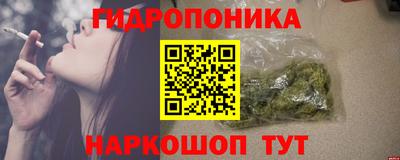 крисы Берёзовский