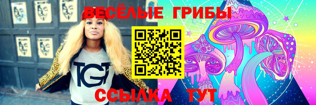 Галлюциногенные грибы GOLDEN TEACHER Владивосток