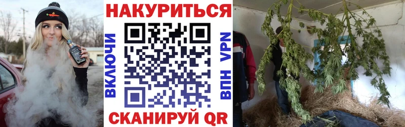 Бошки Шишки марихуана  Владивосток 